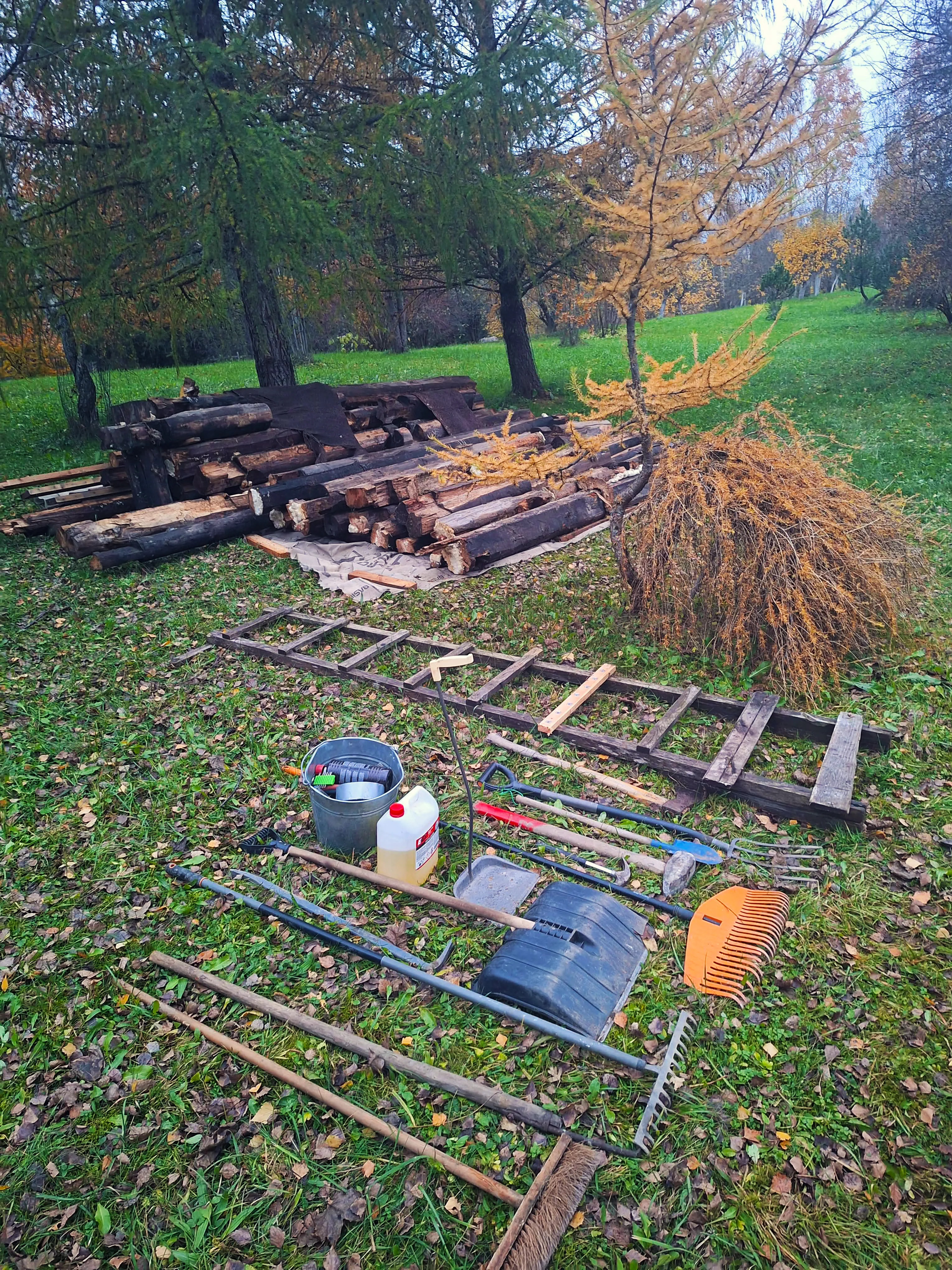 Mūsų komanda